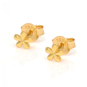 Magnolia Studs
